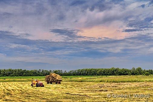 Working A Hay Field_12571.jpg - Photographed near Carp, Ontario, Canada.